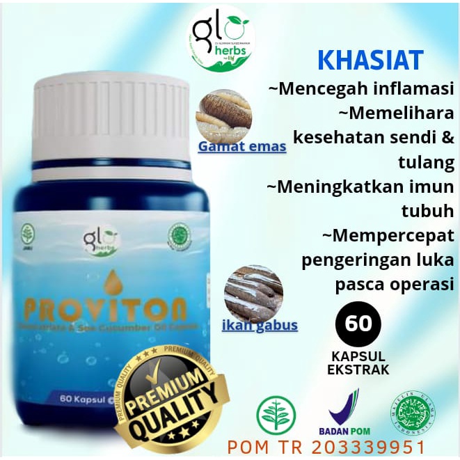 LHI PROVITON-KAPSUL IKAN GABUS + GAMAT