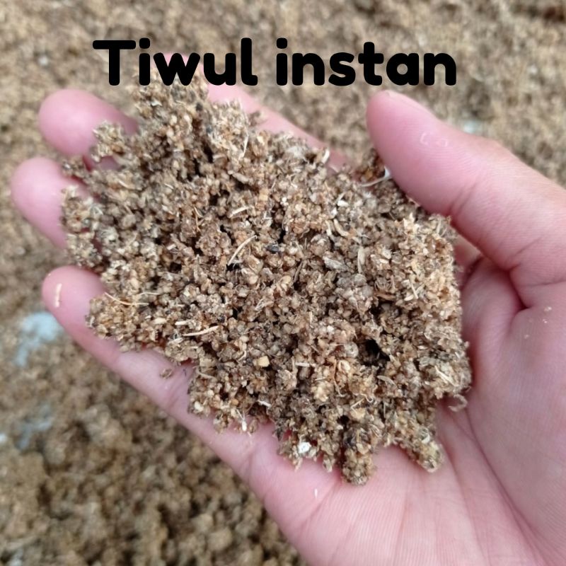 

TIWUL INSTAN ORIGINAL HOMEMADE/ NASI TIWUL/ NASI KETELA