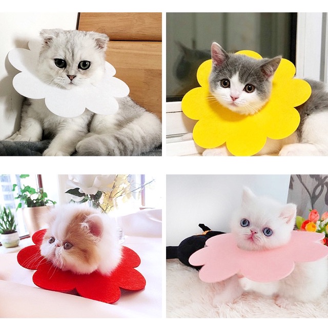 Pet Cone Collar Bunga Lucu Anti Jilat Untuk Anjing dan Kucing