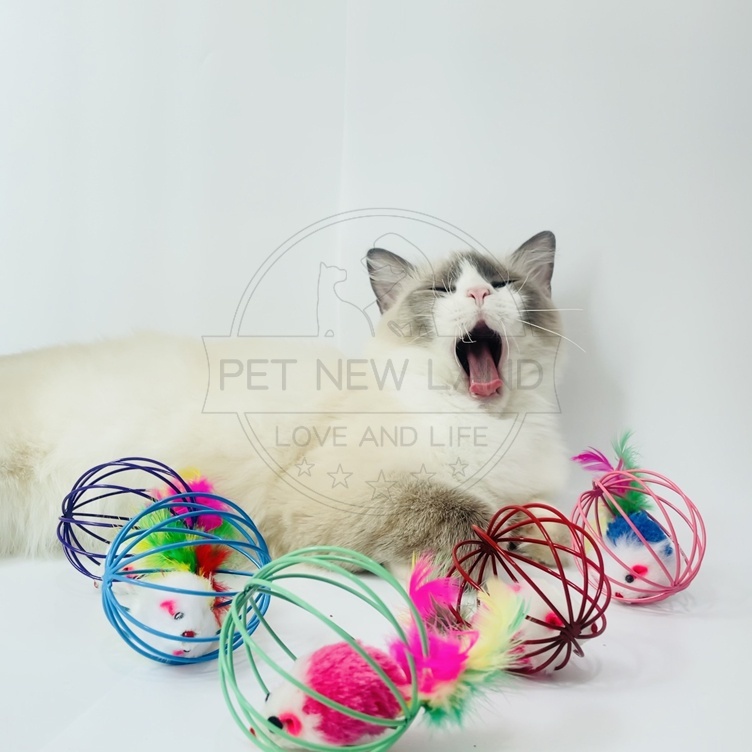 Mainan Kucing Bola Tikus Interaktif Mencit Cat Toys