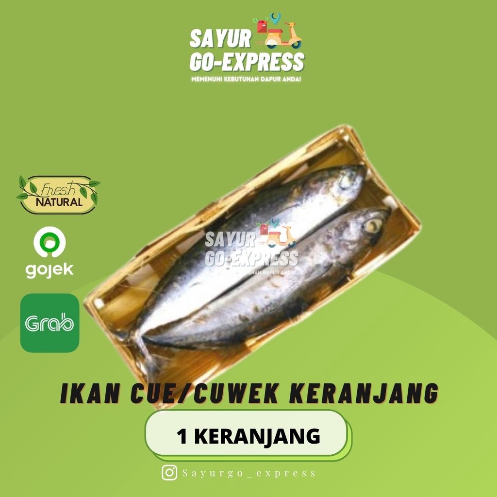 

Ikan Cue / Cuwe Keranjang