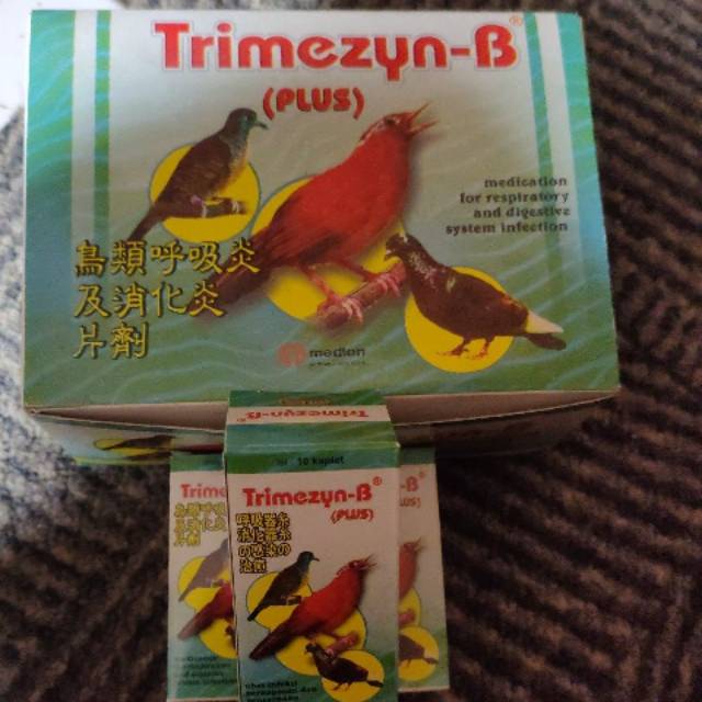 Trimezyn tirimisin trimizin B obat infeksi pernapasan ngorok lesu mencret burung merpati dara kicau