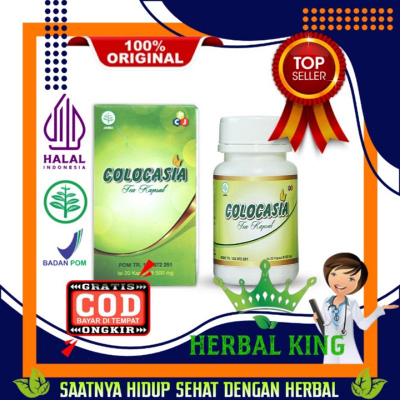 COLOCASIA ORIGINAL OBAT NYERI SENDI ASAM URAT REMATIK HERBAL COLOCASIA KAPSUL ASLI - HERBALKING