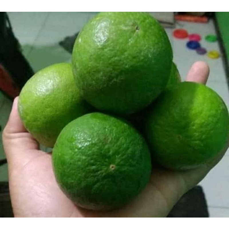 

JERUK NIPIS 1KG 6000