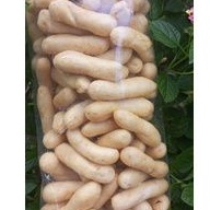 

Kakap tengiri 250 gram Gurih
