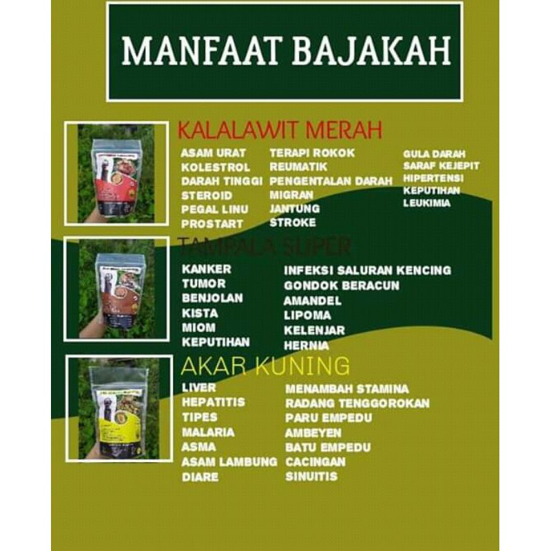 

bajakah kalalawit merah minimal order 5 kali