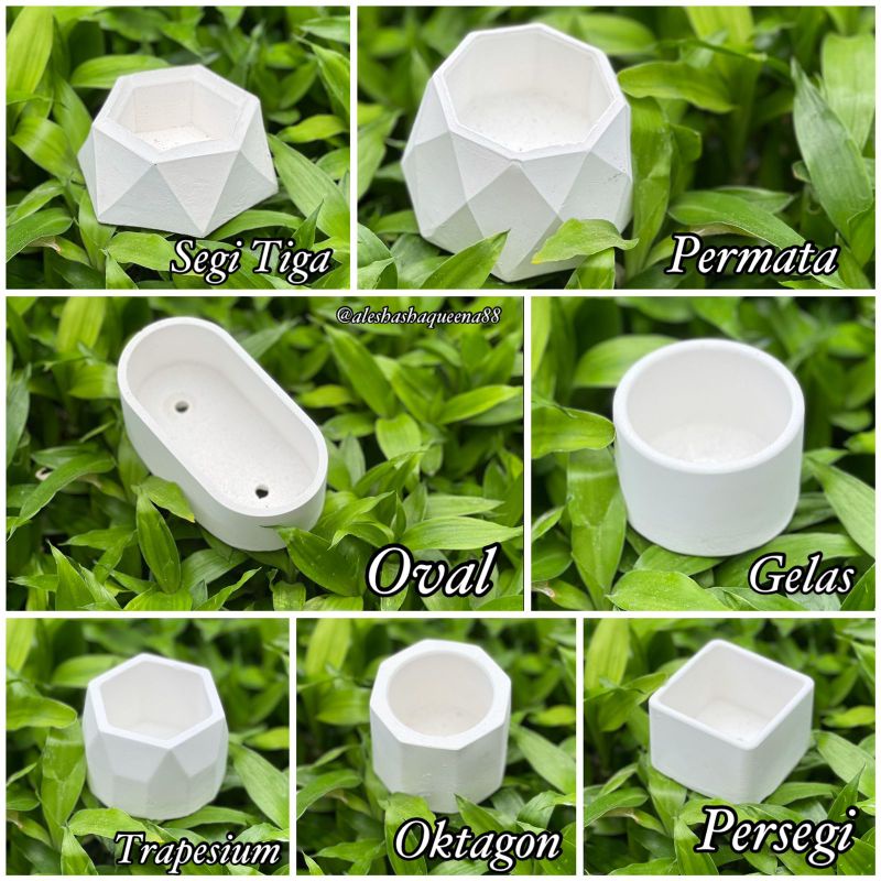 Pot Semen Putih Mini