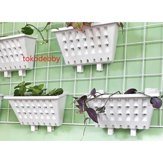 ✼ Ram Besi Putih Pot Gantung Gantungan Pot Argo ➹