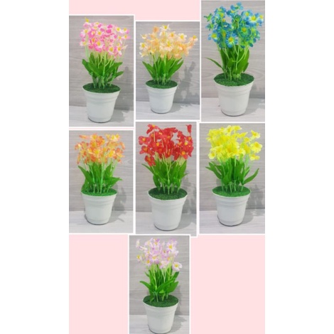 rangkaian forget me