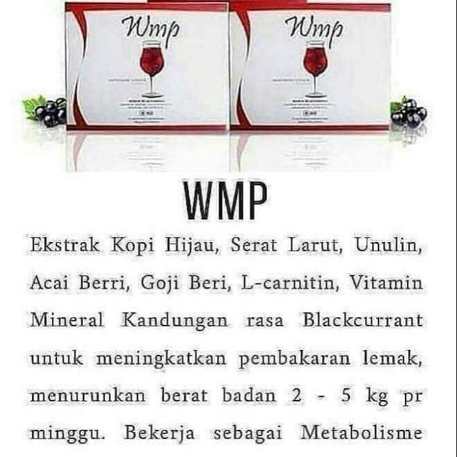 

WMP