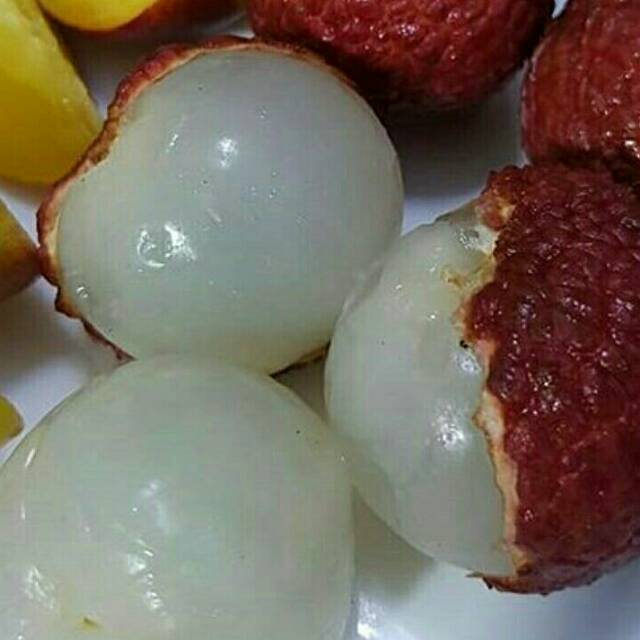 

Leci Madu Merah