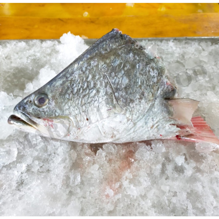 

KEPALA KAKAP PUTIH / BARAMUNDI FROZEN @1KG