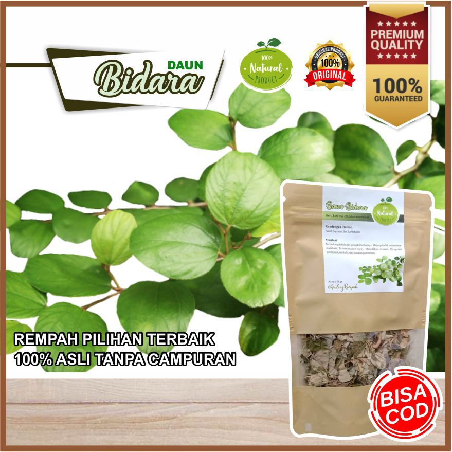 

DAUN BIDARA / WIDARA / SIDR 100% ALAMI KUALITAS PREMIUM - BUMBU DAPUR / REMPAH JSR