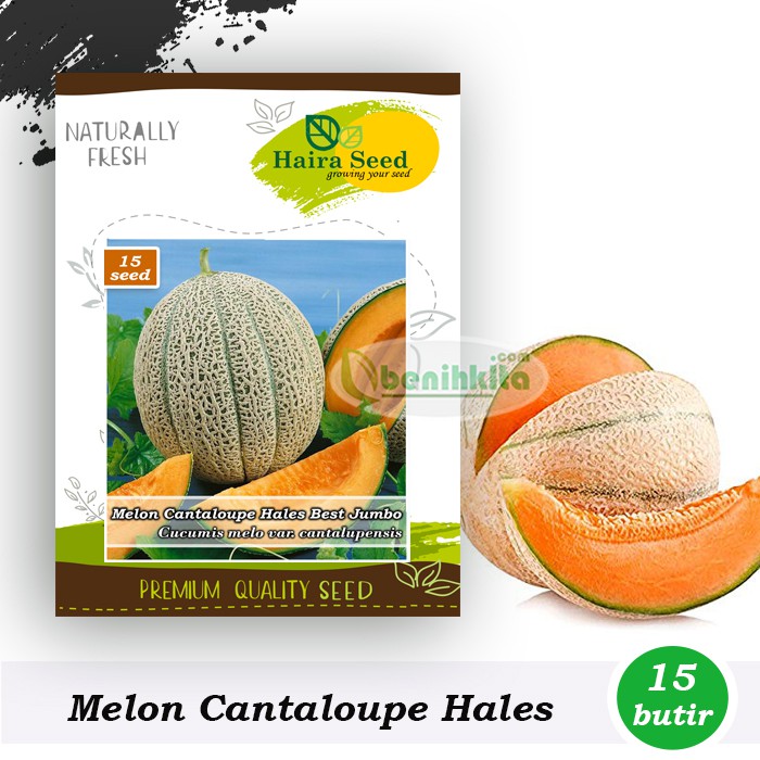 Benih-Bibit Melon Cantaloupe Hales Best Jumbo (Haira Seed)