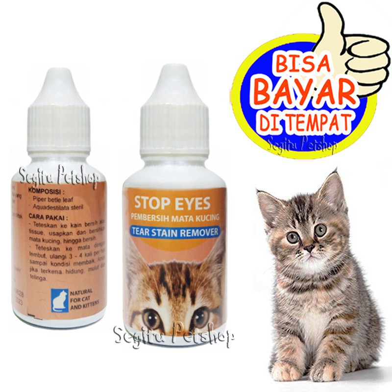 Obat Mata Kucing Tetes Kitten Sakit Merah Berair Tearz Shopee Indonesia