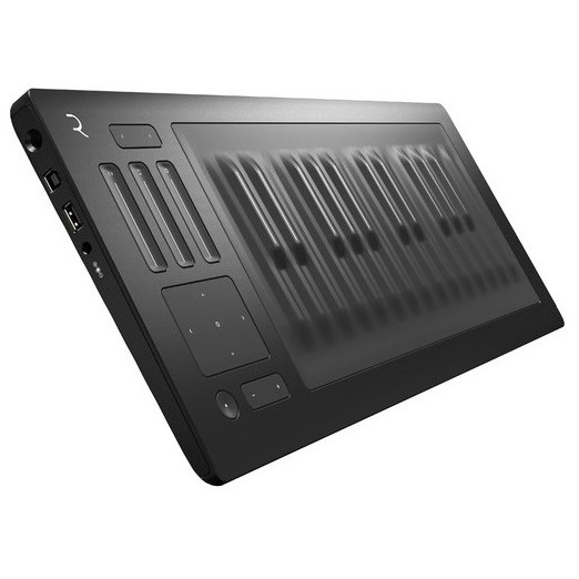 Roli Seaboard Rise 25