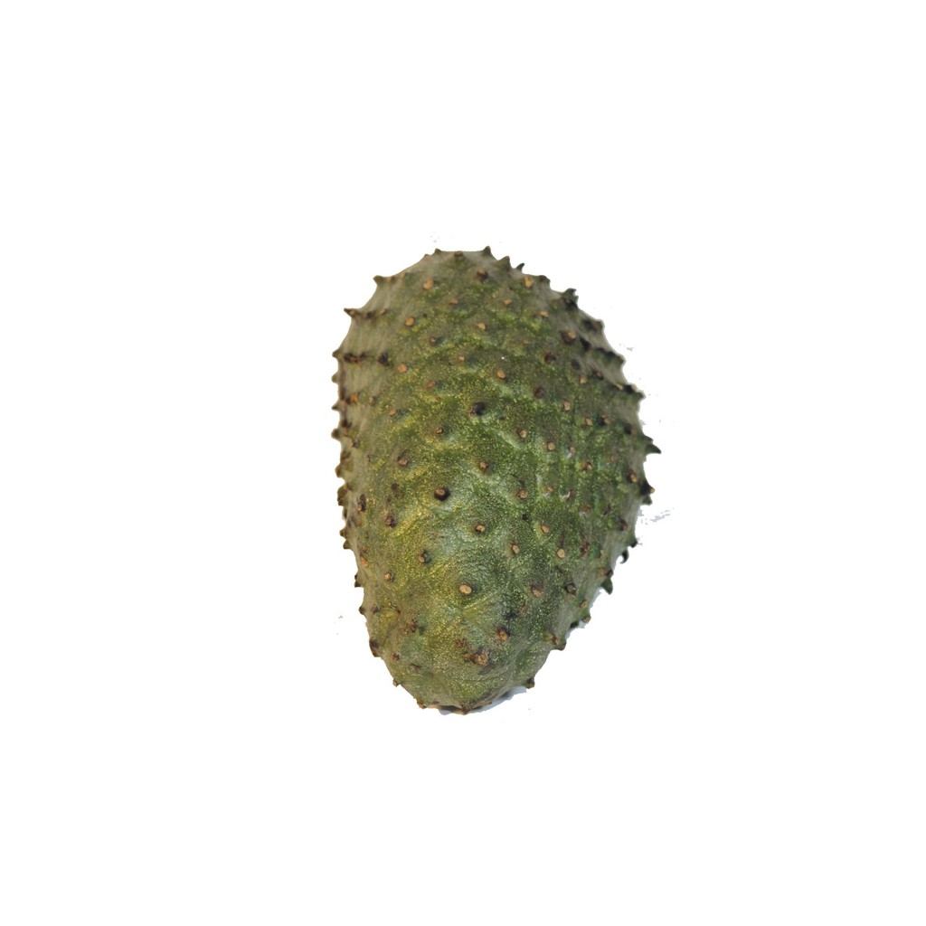 

SIRSAK (PCS) + / - 1,2 Kg (3111)