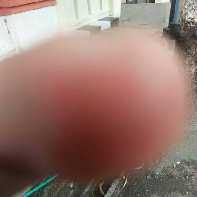 Garuda Emas Batik Solo Batik Pria Lengan Pendek By Batik Pri