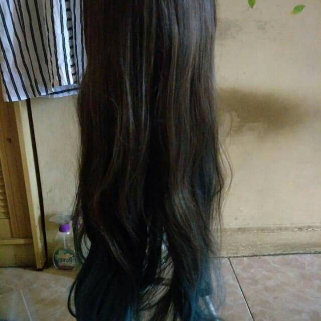 Wig 1/3 delusion
