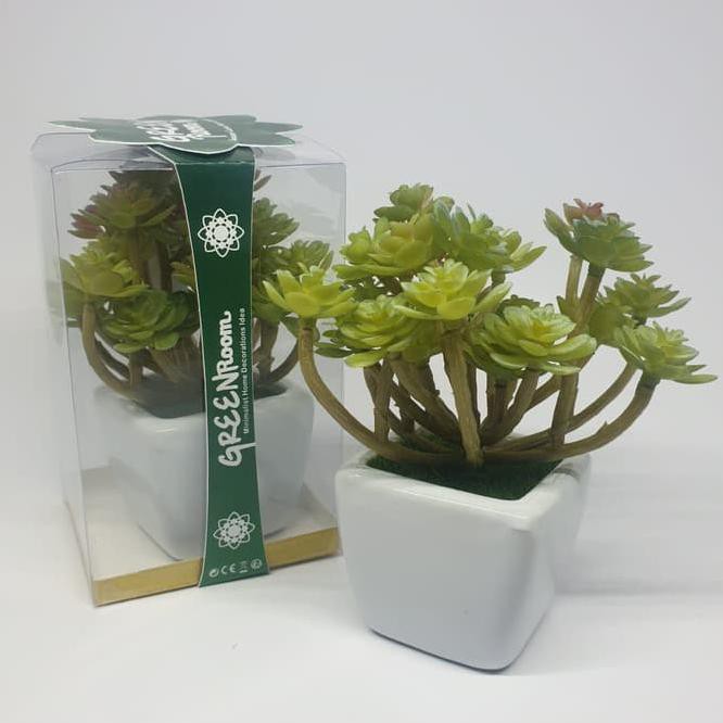 

Hot Item Artificial Cactus/Suculent//Cactus Mini/Kaktus Plastik/Cactus