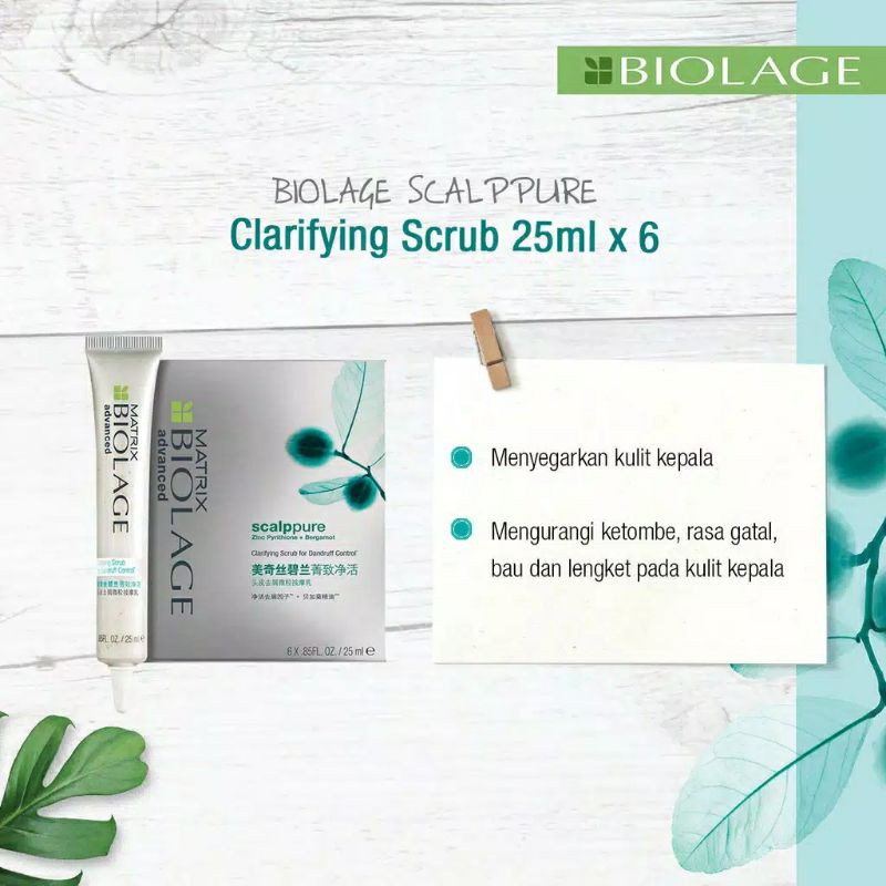 [ECER 1 PCS] MATRIX Scalppure Clarifying SCRUB for Dandruff Control 25ML