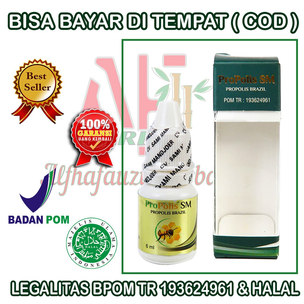 Obat Flek Paru Paru, Paru Paru Basah, Kanker Paru Paru, Infeksi - Propolis SM