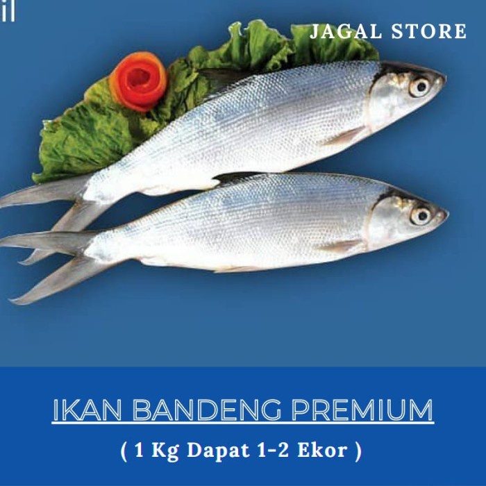 

ikan bandeng segar 1 kg