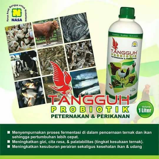 BAHAN FERMENTASI PAKAN TERNAK ORGANIK
