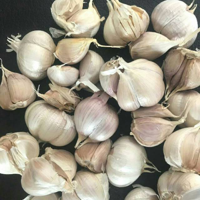 

Bawang putih cutting bersih