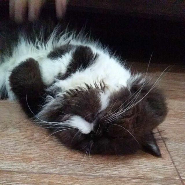 Kb99 Gamis Batik Manggar, Padi,sekar,kubis,kipas,daun,kupu,genes,garuda,sogan,lawasan,kombi Ilalang