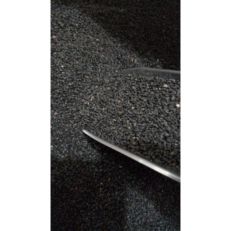 

BIJI SELASI REPACK 100 GRAM