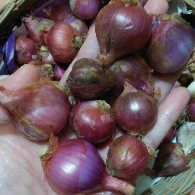 

BAWANG MERAH SUPER / TEMANGGUNG - 1 Kg