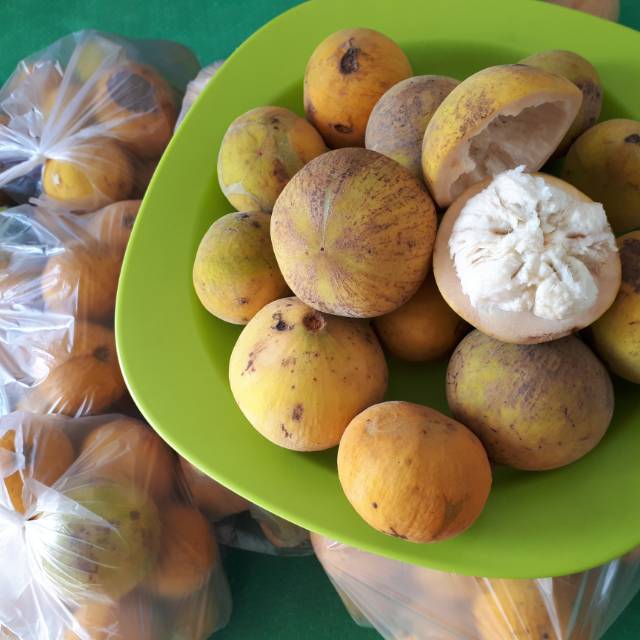 

buah kecapi langka