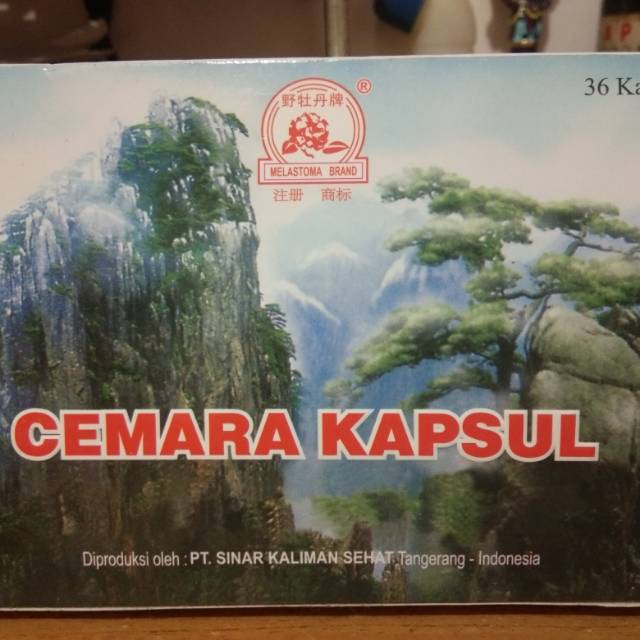 

Cemara Kapsul tian shan xue song shu ISI 36kapsul