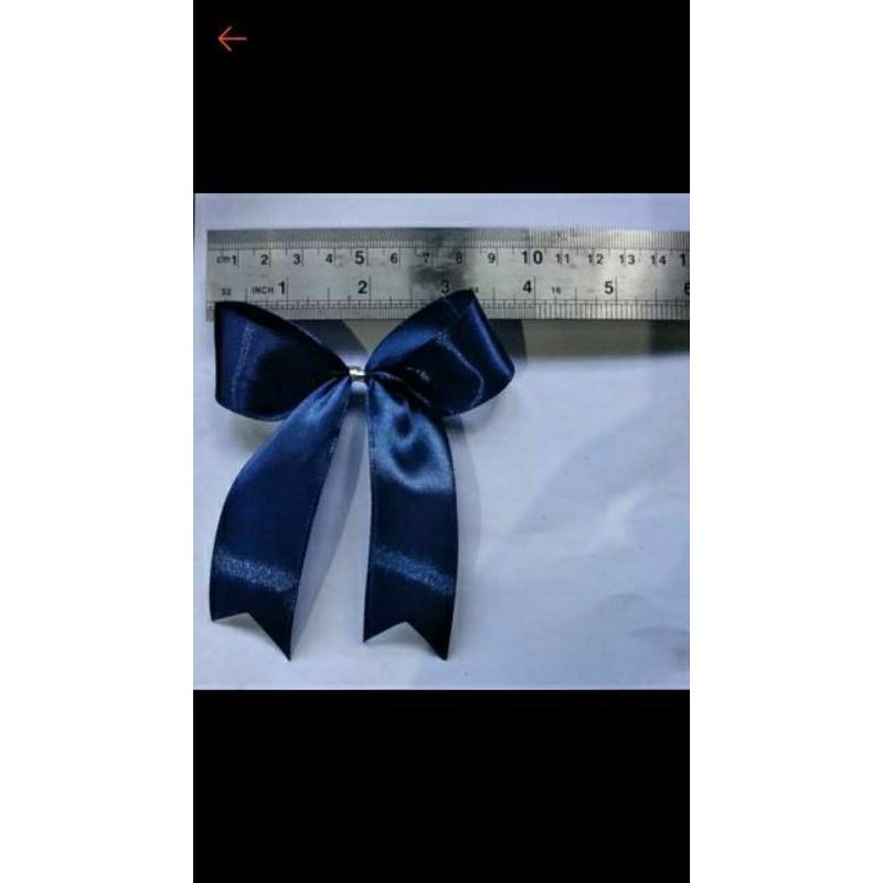 

Pita satin lebar 2,5 cm (panjang)
