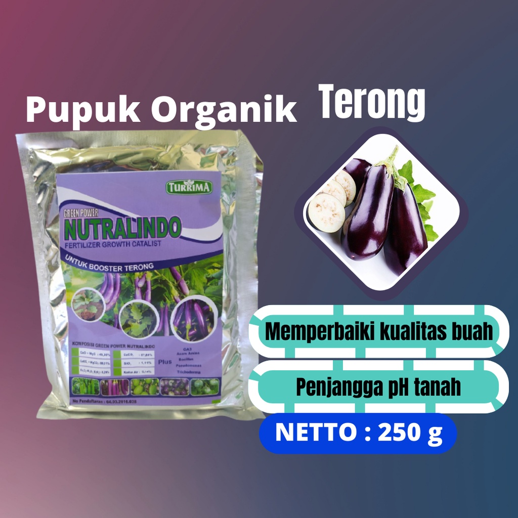 Pupuk terong agar bunga tidak rontok, NUTRALINDO boster anti rontok bunga dan buah