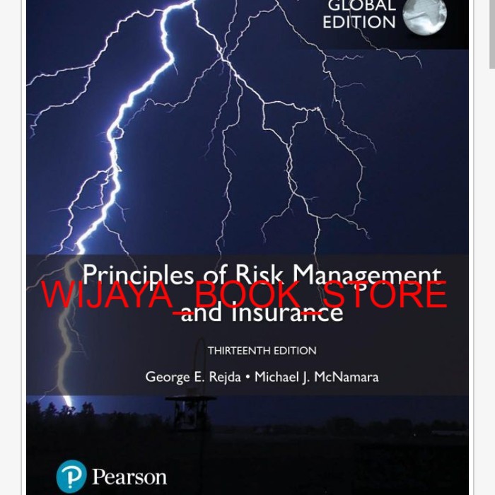 Jual Buku Principles Of Risk Management And Insurance Shopee Indonesia