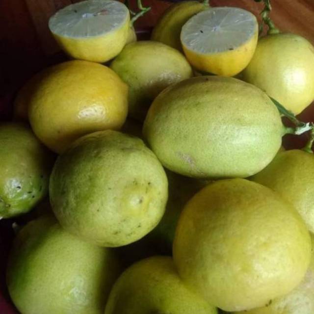 

JERUK LEMON LOKAL @ 1 KG