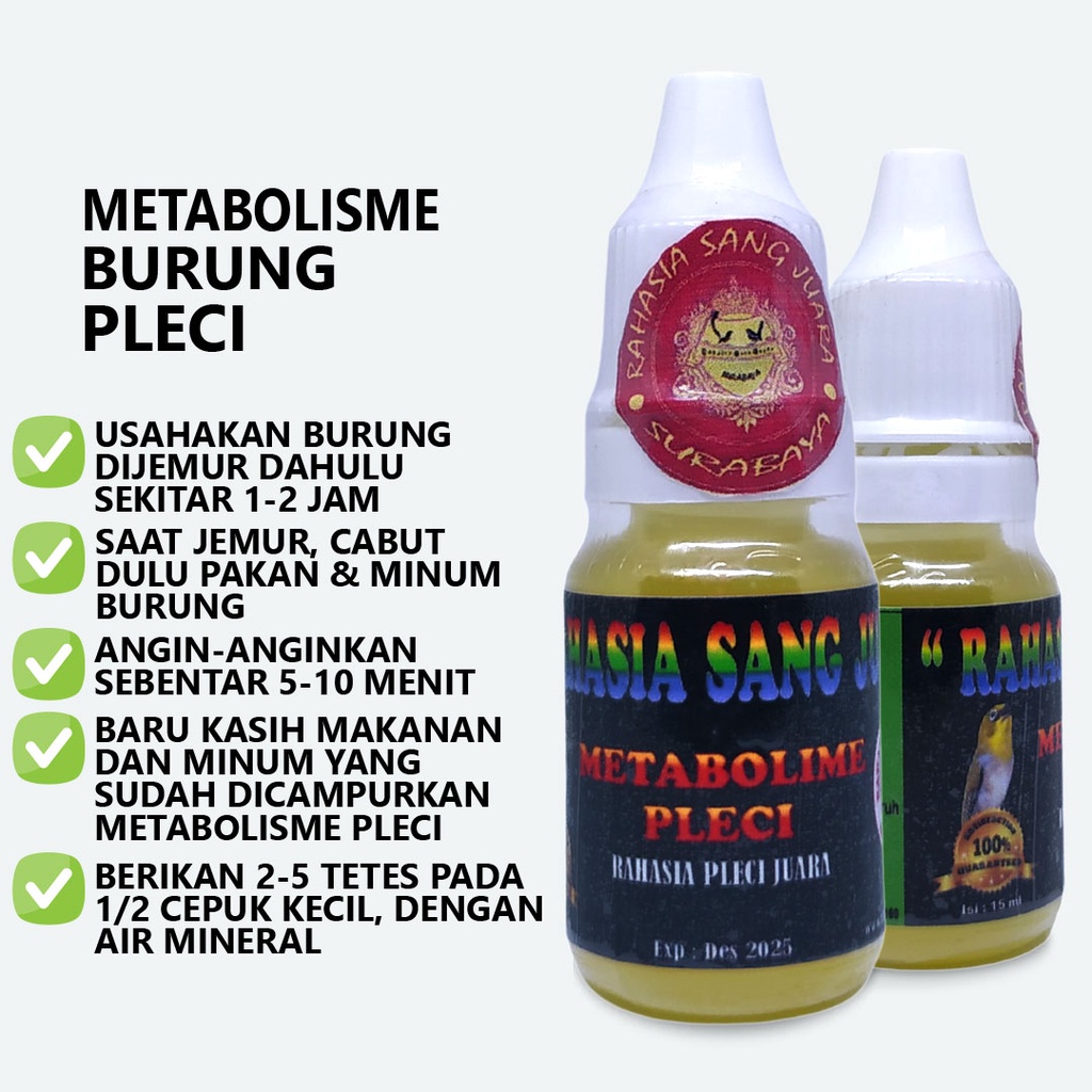 METABOLISME PLECI | DOPING PLECI GACOR MENINGKATKAN BIRAHI BURUNG PLECI MENGATASI PLECI MACET