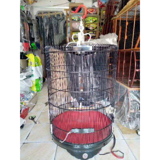 Sangkar Burung Murai Ebod Jaya No 2 Shopee Indonesia