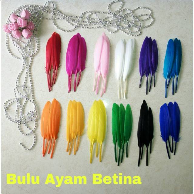 20 Pcs Bulu Ayam Betina Bulu Ayam Warna Warni Bulu Ayam Tegak Hiasan Aksesoris