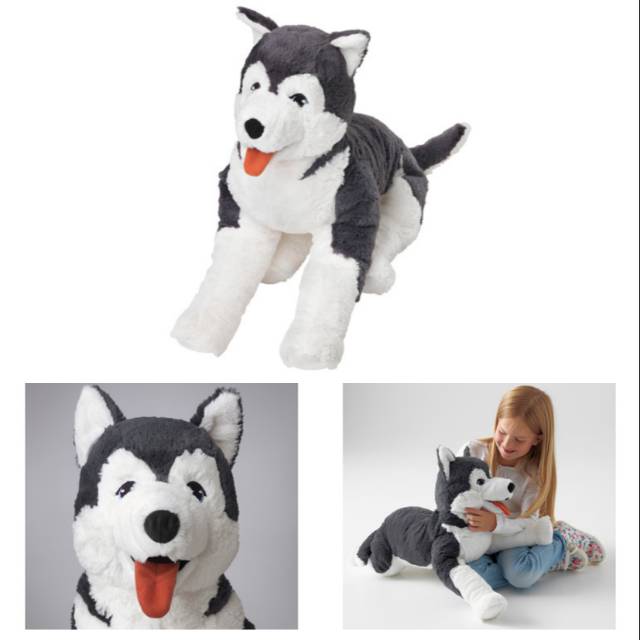 husky teddy ikea