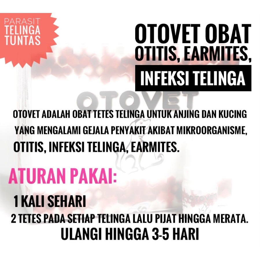 Harga Otitis Kucing Terbaru November 2021  BigGo Indonesia