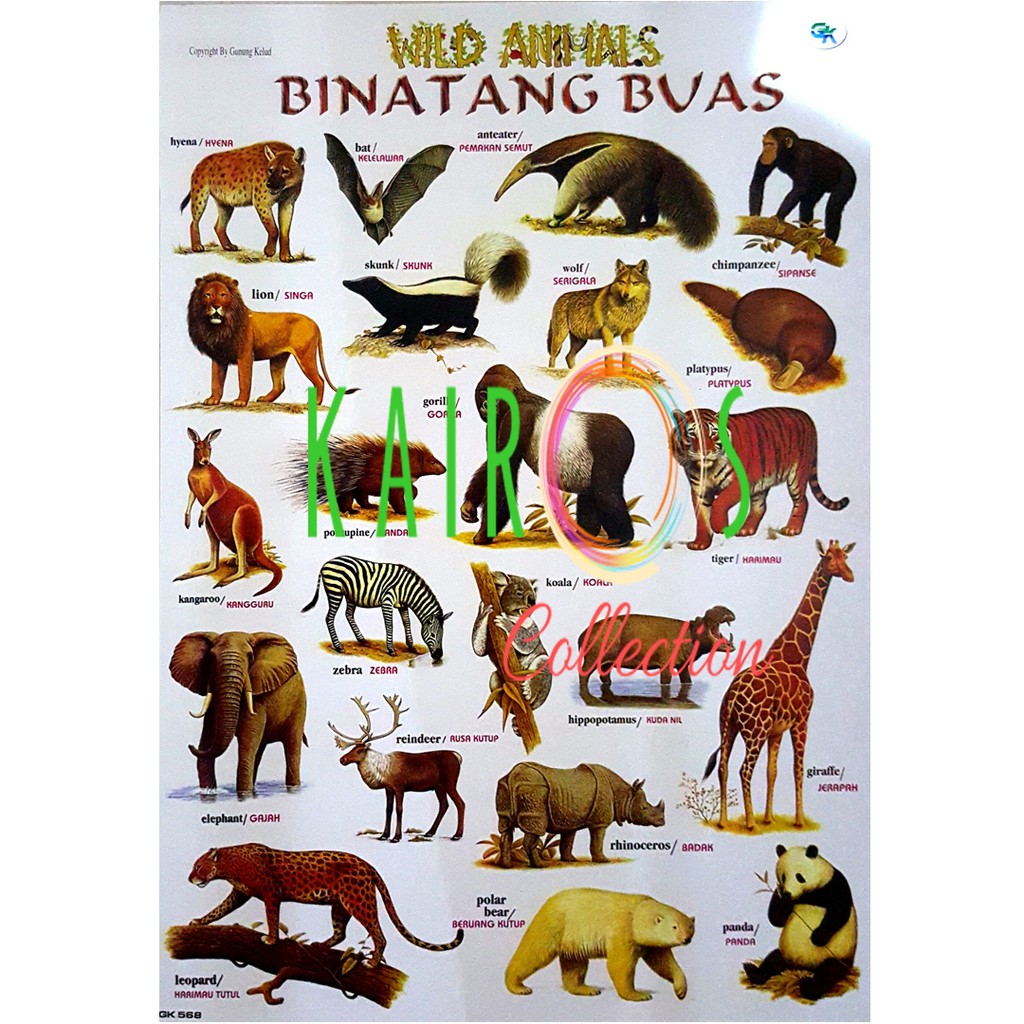 Poster Binatang Buas Shopee Indonesia