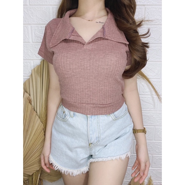 Polo Crop top Kimmy Vneck RIB / Polo Crop top