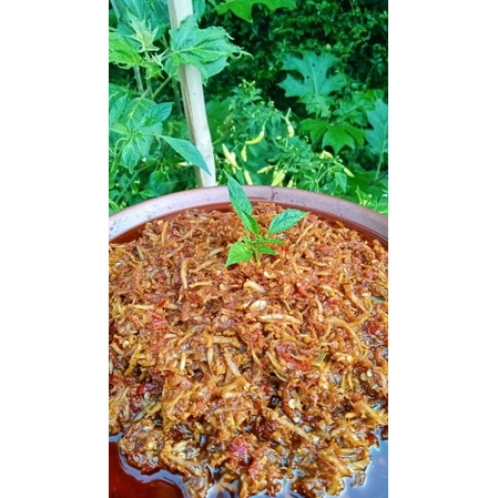 

SambelTeriNgatKamu