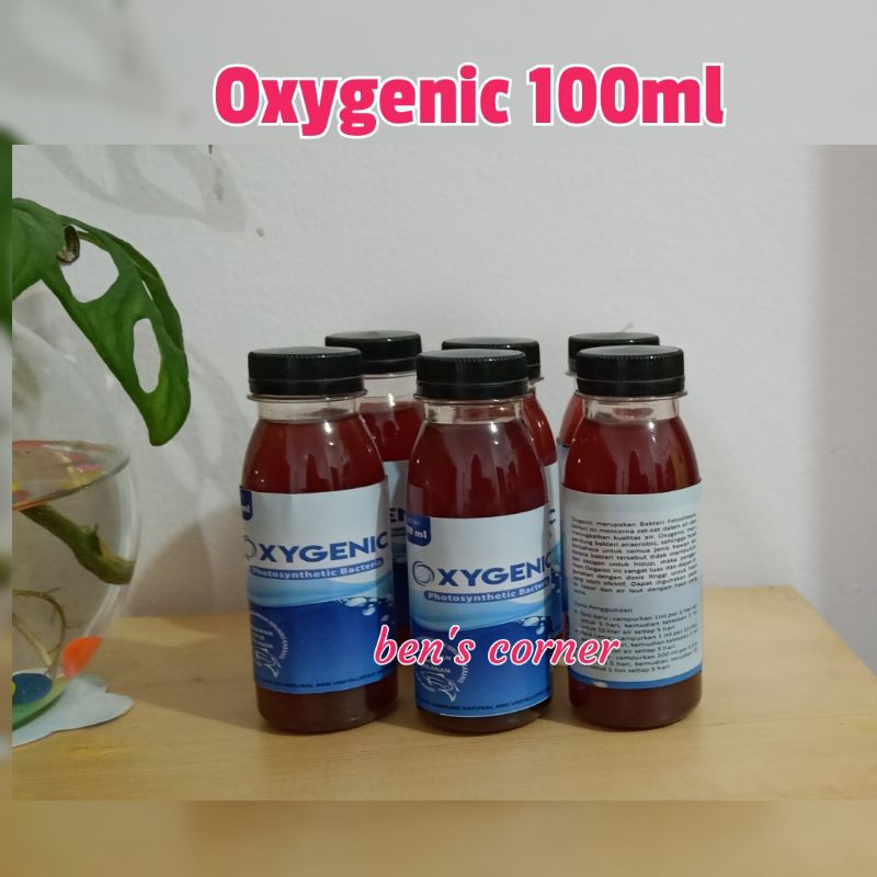 oxygenic bakteri starter kolam aquarium