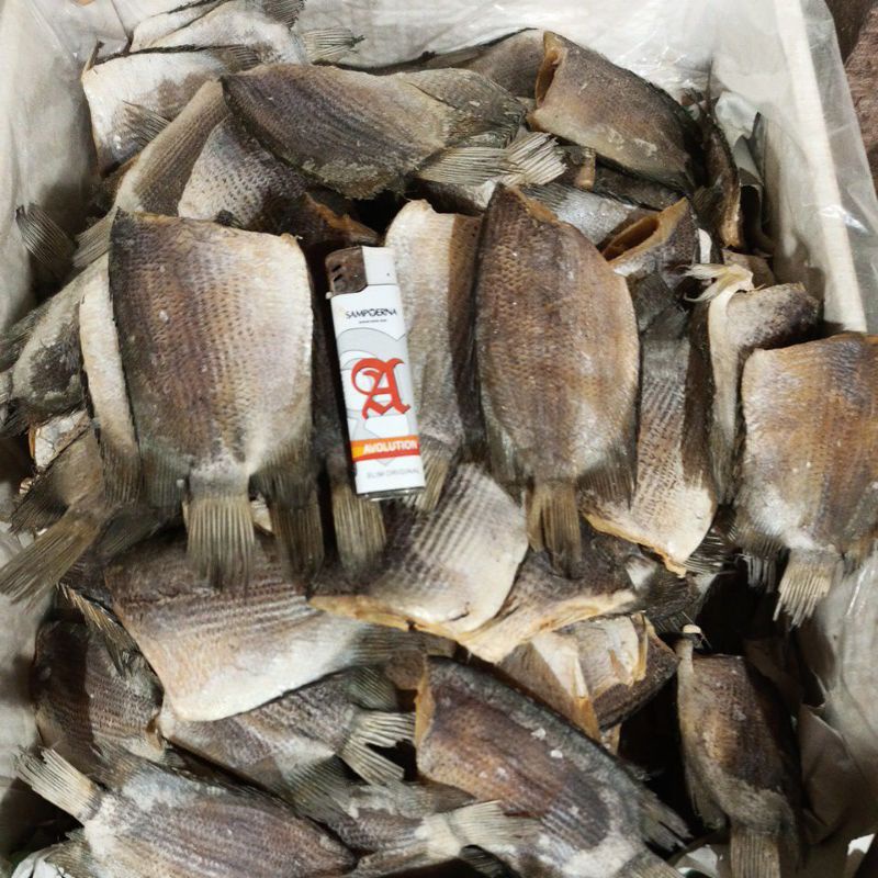 

Ikan asin Biawan/Separ/ 500 gram ukuran sedang besar