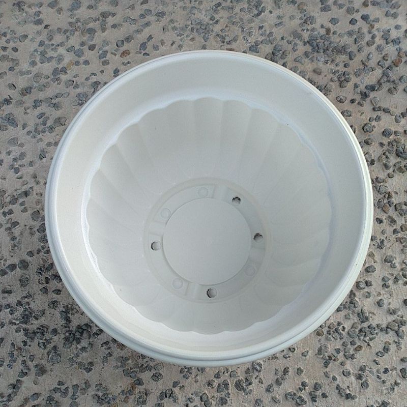 pot plastik besar model belimbing diameter 28 cm pot bunga besar murah