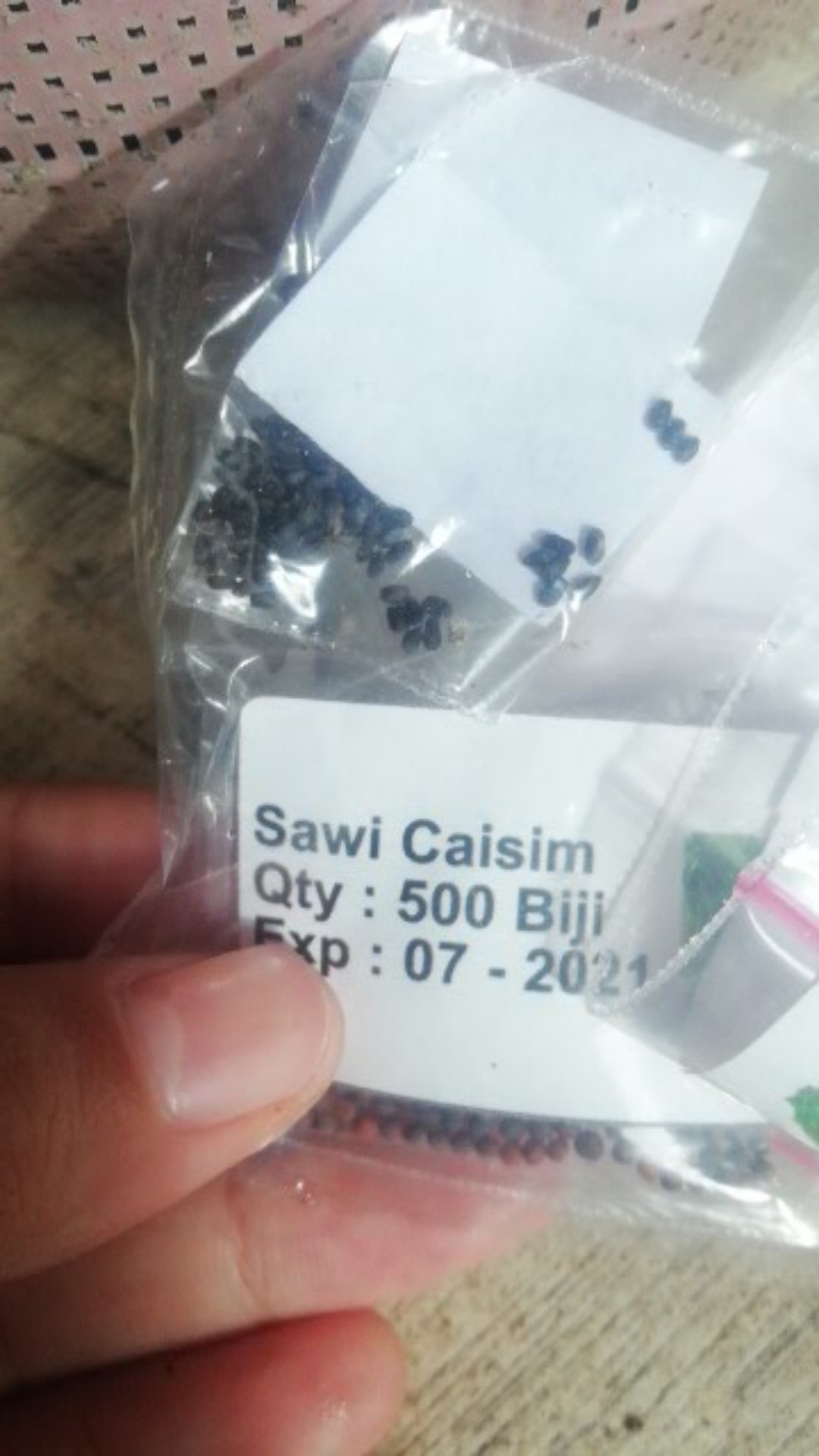 Benih Sawi Putih Hybrid F1 Chinese Cabbage 50 Biji